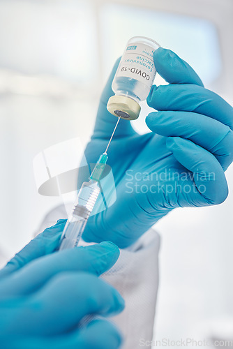 Image of Medical doctor holding covid vaccine, giving injection during checkup and preparing needle for consultation. Closeup of the hands of a heathcare worker, expert or professional working at hospital