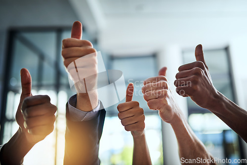 Image of Diverse group of successful businesspeople approving and giving thumbs up for satisfaction and job well done. Corporate team of cheerful colleagues using their hands to say yes showing agreement