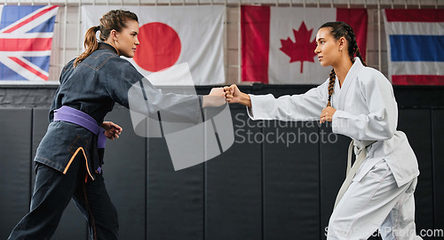 Image of Women, martial arts and karate at a dojo for workout, exercise or health or aikido and fitness. Taekwondo, fighting and sports training people at the gym for a fight or international competition.