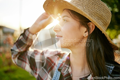 Image of Farm, agriculture and woman farmer working in the field during spring at sunset to monitor growth. Wellness, sustainability and eco friendly female standing in a green, agro and sustainable garden.