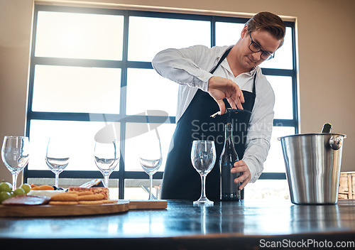 Image of Bartender with red wine tasting at luxury restaurant or vineyard and vintage alcohol bottle and glasses for fine dining, culinary or hospitality industry. Sommelier service with quality alcohol drink