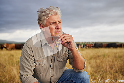 Image of Mindset of an agriculture farmer man thinking on farm with storm clouds in sky or weather for outdoor farming or countryside. Sustainability worker on grass field with a vision for growth development