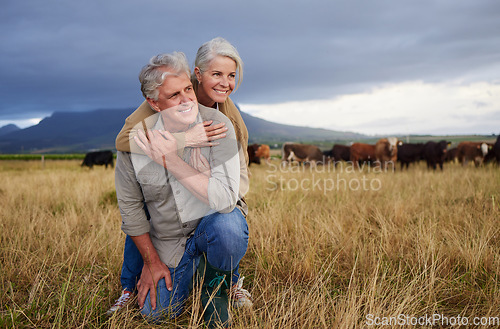 Image of Senior farmer couple working on cow farm in countryside for meat, beef and cattle food industry on sustainability field, agriculture environment and nature land. Happy elderly people farming animals