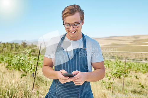 Image of Phone, farm and wine with a farmer or winemaker gets good news online in vineyard. Sustainability, development and ecommerce in farming. Leader in alcohol, agriculture and manufacturing industry