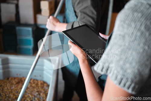 Image of Owner working on a digital tablet in a winery while a wine maker press grapes to make wine. Woman worker doing research on the internet with technology in a manufacturing distillery warehouse.