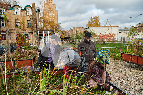 Image of A modern family parents and children, is working together to beautify their front yard with flowers in preparation for the upcoming holiday season.