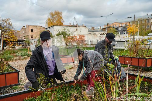 Image of A modern family parents and children, is working together to beautify their front yard with flowers in preparation for the upcoming holiday season.