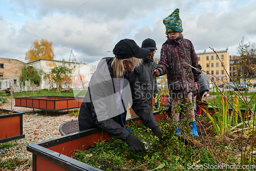 Image of A modern family parents and children, is working together to beautify their front yard with flowers in preparation for the upcoming holiday season.