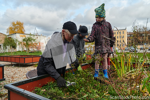 Image of A modern family parents and children, is working together to beautify their front yard with flowers in preparation for the upcoming holiday season.