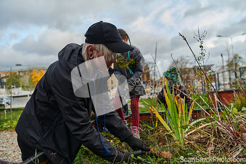 Image of A modern family parents and children, is working together to beautify their front yard with flowers in preparation for the upcoming holiday season.