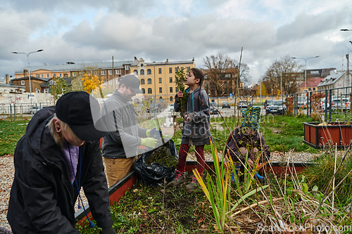 Image of A modern family parents and children, is working together to beautify their front yard with flowers in preparation for the upcoming holiday season.