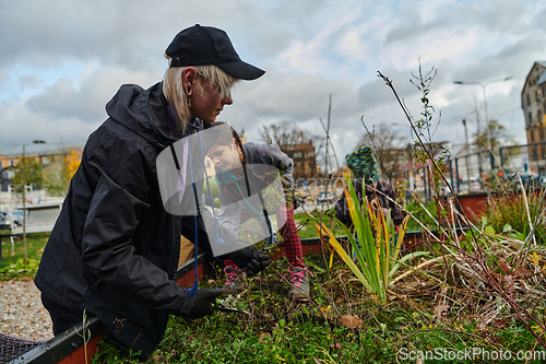 Image of A modern family parents and children, is working together to beautify their front yard with flowers in preparation for the upcoming holiday season.