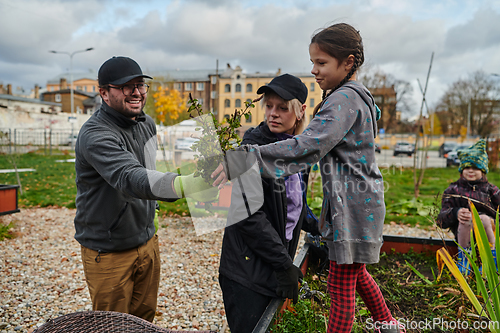 Image of A modern family parents and children, is working together to beautify their front yard with flowers in preparation for the upcoming holiday season.