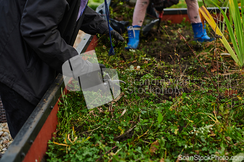 Image of A modern family parents and children, is working together to beautify their front yard with flowers in preparation for the upcoming holiday season.