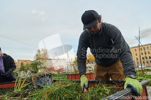 Image of A European man tends to a colorful floral garden in front of his house, creating a vibrant and well-maintained outdoor space