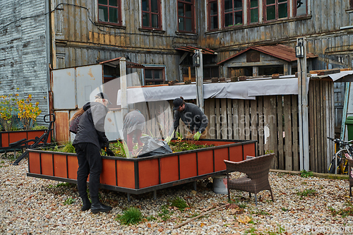 Image of A modern family parents and children, is working together to beautify their front yard with flowers in preparation for the upcoming holiday season.