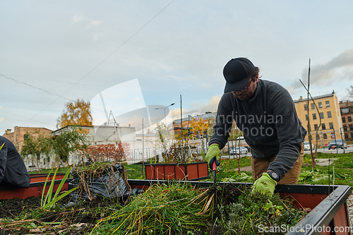 Image of A European man tends to a colorful floral garden in front of his house, creating a vibrant and well-maintained outdoor space