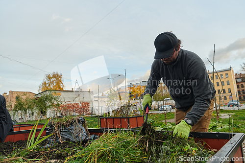 Image of A European man tends to a colorful floral garden in front of his house, creating a vibrant and well-maintained outdoor space