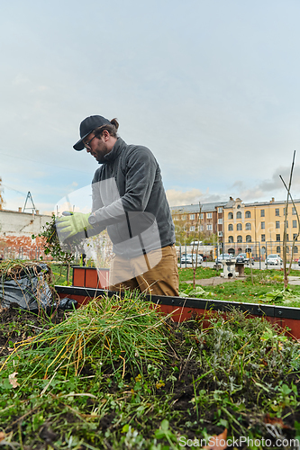 Image of A European man tends to a colorful floral garden in front of his house, creating a vibrant and well-maintained outdoor space