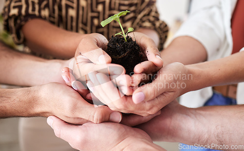 Image of Green economy, sustainability plant hands and global growth of teamwork with hope, help and trust for earth, future community and environment success. Planet diversity, innovation and accountability