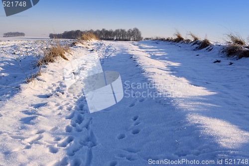 Image of snow field