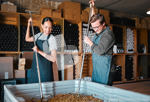 Image of Small business wine farm agriculture worker in organic brewery, grape pulp ferment process in distillery and alcohol drink distribution. Cellar owners press healthy fresh ripe fruit in modern barrel