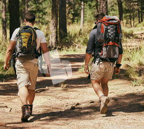 Image of Backpacker friends explore nature while hiking in a forest together, being active and bonding outdoors. Active men on a path in the woods, enjoying a physical challenge while on trekking adventure