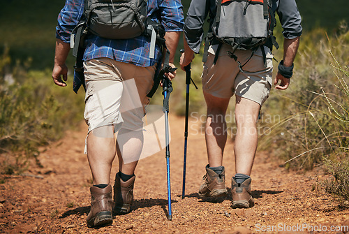 Image of Nature hiking, fitness and exercise of friends walking on a mountain forest park ground trail. Walk adventure trekking workout with green grass and plants on a outside runner, hike or foot path track