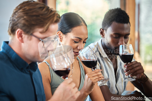 Image of Diversity, luxury and friends wine tasting at a restaurant or vineyard, smelling alcohol in a glass together. Young carefree people bonding and having fun, enjoying a wine tour at a distillery