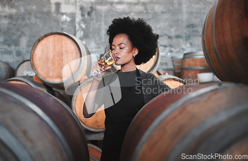 Image of Black winemaker smelling white wine in vineyard cellar, expert analysis by professional, proud female sommelier. Small business owner checking the smell, color and blend of alcohol, enjoying career