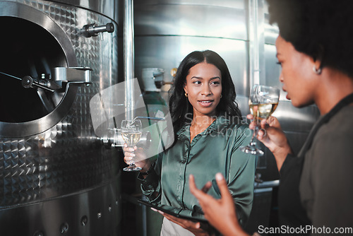 Image of Woman winemaker discuss, planning and tasting wine in a distillery to expand the business. Alcohol management, professional or expert drinking a glass while collaborating for a startup winery cellar