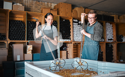 Image of Winemakers mixing and shaking grapes during the wine making process inside of a distillery. Cellar owners use a steel tool to press the juice out of fruit before fermentation to make alcohol