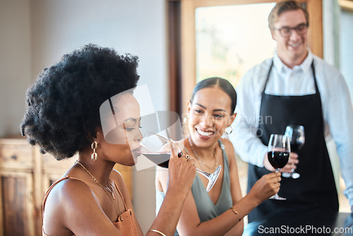 Image of Beautiful women friends taste a red wine glass together for brunch party in a luxury restaurant. Happy woman with an afro drinking with her friend at a distillery restaurant for alcohol with a smile