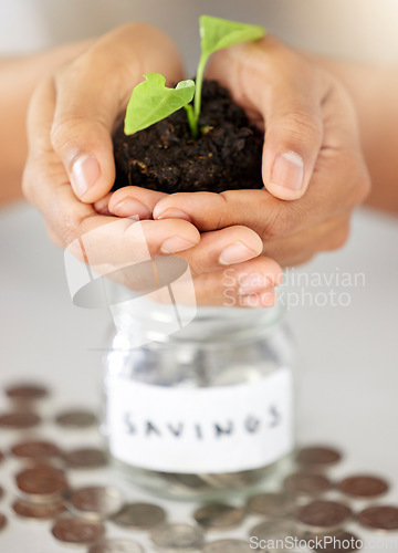 Image of . Green economy hands and savings growth for investment, finance and future money goal. Closeup of financial advisor, bank employee and worker holding budget accountability on an insurance loan.