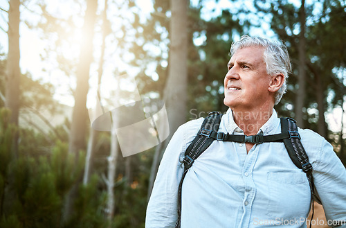 Image of . Senior man walking on hike in nature, looking at view on mountain and hiking on a relaxing getaway vacation alone in the countryside. Retired, mature and happy guy on walk for exercise and fitness.
