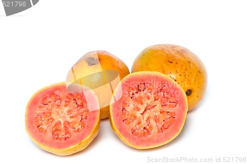 Image of guava