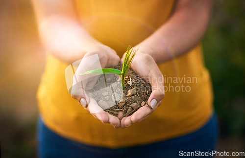 Image of Closeup of hands holding a plant and sand outside in nature in spring. Caring for the environment and growing sustainable, organic and ecological plantations by investing in agricultural growth