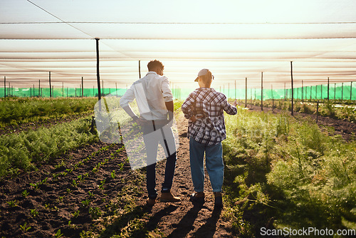 Image of Young farmers working inside of a greenhouse in serious discussion about eco friendly organic agriculture they are planning on farming. Rear view of a man and woman talking about sustainable land