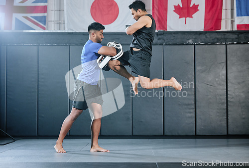 Image of Healthy professional coach sparring and training male kickboxer indoors. Practice sports, exercise and fitness. Two muscular men fighting, jumping and blocking kicks with discipline in class.