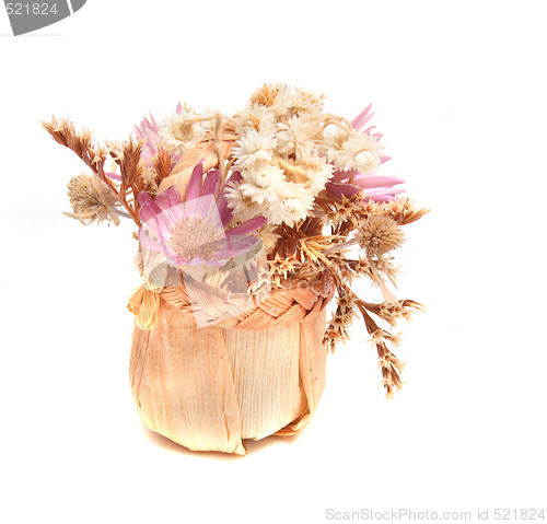 Image of dry flowers