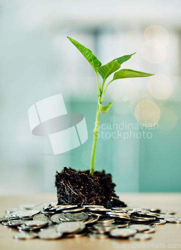 Image of Investment and development in environment benefit eco friendly market and businesses. Coins and green plant show money growth, financial sustainability and future savings in finance sector or economy