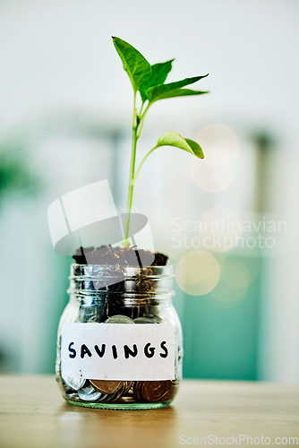 Image of Financial growth, savings and future investment with interest in a jar full of coins, money or cash and a green economy. Invest, profit or investing money for donation, pension or a retirement fund