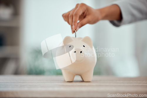 Image of Budget, money and piggy bank investment for your future plans or goals. Closeup of cropped hands putting coins into savings for financial security or growth in a poor and struggling economy.