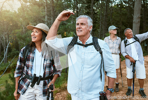 Image of . Hiking, adventure and exploring with a group of senior friends having fun, exercising and enjoying the outdoors. Walking, discovery and journey with old people sightseeing in the forest or woods.
