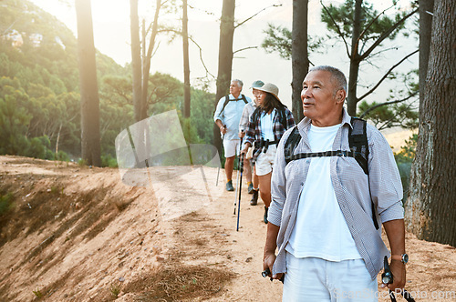 Image of Hiking, old and adventure seeking Asian man staying active, healthy and fit in twilight years. Tourists or friends travel doing recreation exercise and explore nature on wellness getaway or retreat