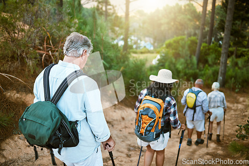 Image of . Hiking, adventure and exploring with a group of senior friends walking on a trail in the forest or woods. Rearview of retired people taking a hike or journey on a discovery vacation outdoors.