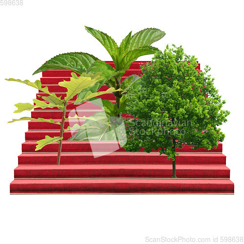 Image of Plants on a stairway isolated over white