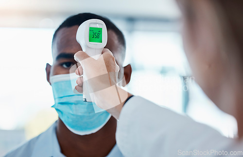 Image of Temperature, thermometer and covid routine before entering office, workplace or company. Business man with mask checking fever by doctor or colleague to prevent spread of disease, illness or sickness