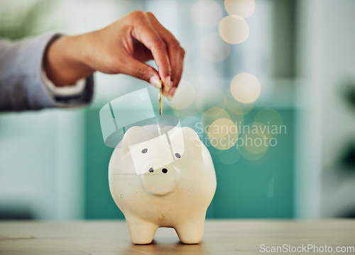 Image of . Saving and investment for future, hand putting a coin into a piggy bank, money growth and financial freedom. Retirement, insurance and budget security of woman banking money away.