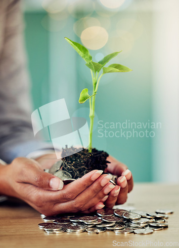 Image of . Hands of a woman and her savings, money growing and planning for the future closeup. Lady investing coins for finances, conservation and protection of her investment in a green economy.